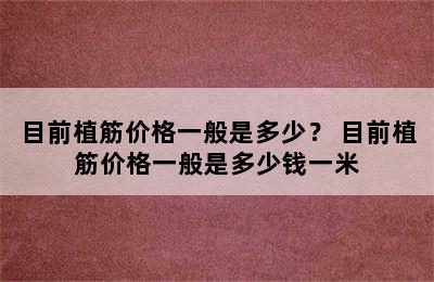 目前植筋价格一般是多少？ 目前植筋价格一般是多少钱一米